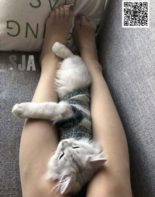 香港三级精品三级在线专区_1080免费观看